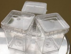 Hộp nhựa vuông trong suốt - Nhựa Bách Việt Á Châu - Công Ty Cổ Phần Bách Việt Á Châu